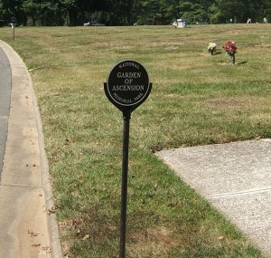 Beck Locator 1